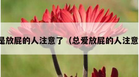 总是放屁的人注意了（总爱放屁的人注意了）