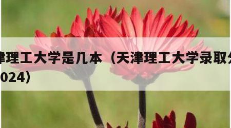 天津理工大学是几本（天津理工大学录取分数线2024）