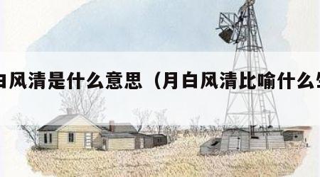月白风清是什么意思（月白风清比喻什么生肖）