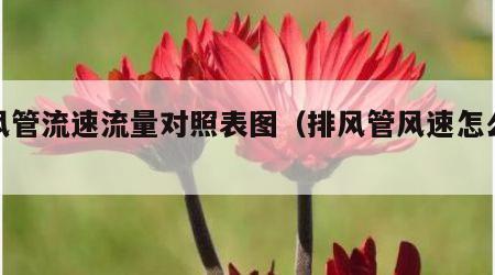 排风管流速流量对照表图（排风管风速怎么计算）