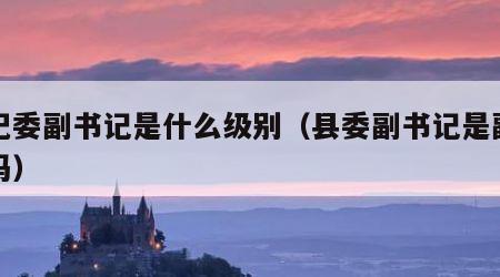 县纪委副书记是什么级别（县委副书记是副县级吗）