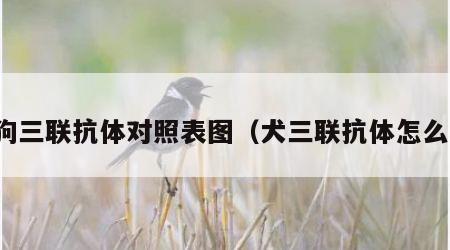 狗狗三联抗体对照表图（犬三联抗体怎么看）