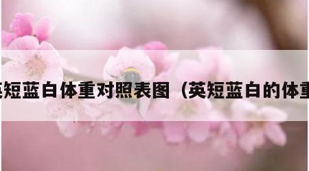 英短蓝白体重对照表图（英短蓝白的体重）