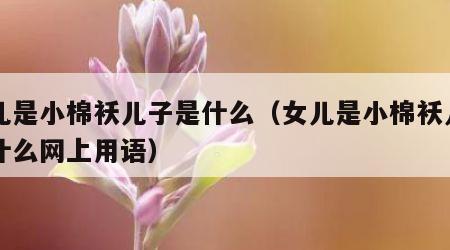 女儿是小棉袄儿子是什么（女儿是小棉袄儿子是什么网上用语）