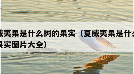 夏威夷果是什么树的果实（夏威夷果是什么树的果实图片大全）