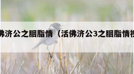 活佛济公之胭脂情（活佛济公3之胭脂情视频）
