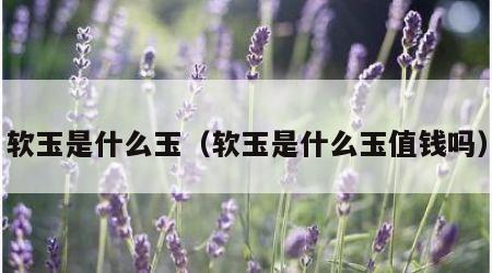 软玉是什么玉（软玉是什么玉值钱吗）