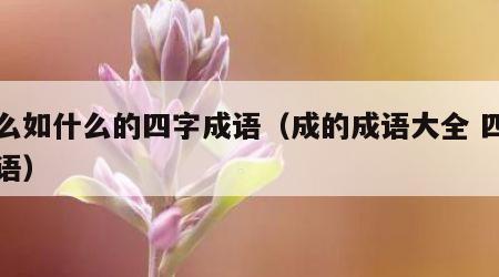 什么如什么的四字成语（成的成语大全 四字成语）