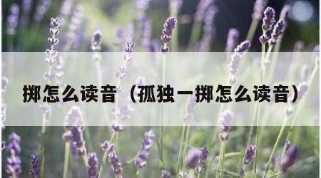 掷怎么读音（孤独一掷怎么读音）