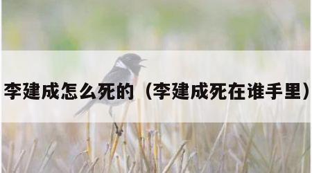 李建成怎么死的（李建成死在谁手里）