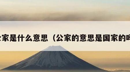 公家是什么意思（公家的意思是国家的吗）