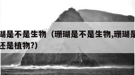 珊瑚是不是生物（珊瑚是不是生物,珊瑚是动物还是植物?）