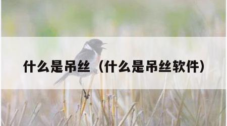 什么是吊丝（什么是吊丝软件）