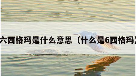 六西格玛是什么意思（什么是6西格玛）