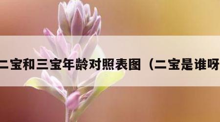 二宝和三宝年龄对照表图（二宝是谁呀）