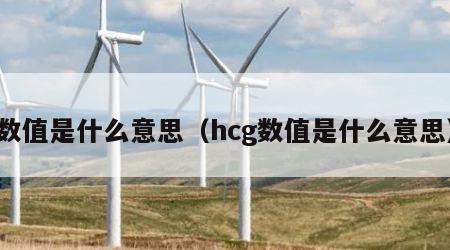 数值是什么意思（hcg数值是什么意思）