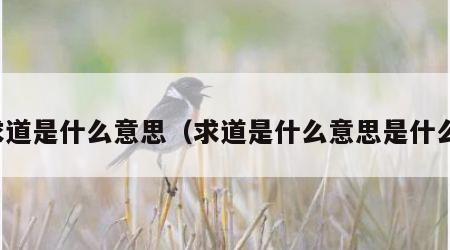 求道是什么意思（求道是什么意思是什么）