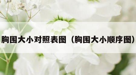胸围大小对照表图（胸围大小顺序图）