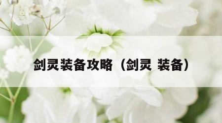 剑灵装备攻略（剑灵 装备）