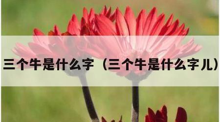 三个牛是什么字（三个牛是什么字儿）