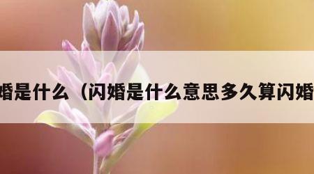 闪婚是什么（闪婚是什么意思多久算闪婚呢）