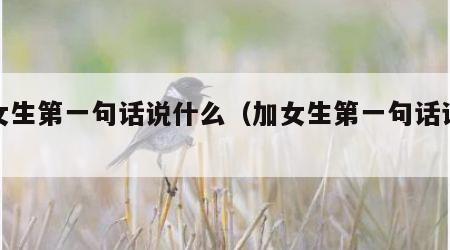 加女生第一句话说什么（加女生第一句话该说啥）
