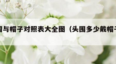 头围与帽子对照表大全图（头围多少戴帽子好看）
