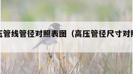 高压管线管径对照表图（高压管径尺寸对照表）