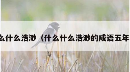 什么什么浩渺（什么什么浩渺的成语五年级）