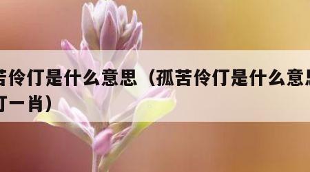 孤苦伶仃是什么意思（孤苦伶仃是什么意思正确打一肖）