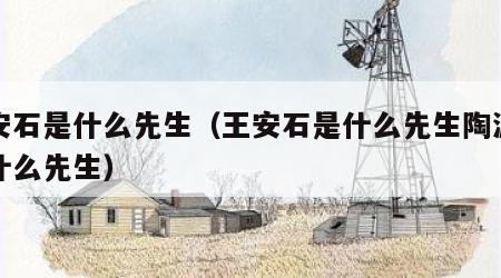 王安石是什么先生（王安石是什么先生陶渊明是什么先生）