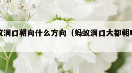 蚂蚁洞口朝向什么方向（蚂蚁洞口大都朝哪一边）