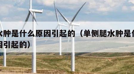 腿水肿是什么原因引起的（单侧腿水肿是什么原因引起的）