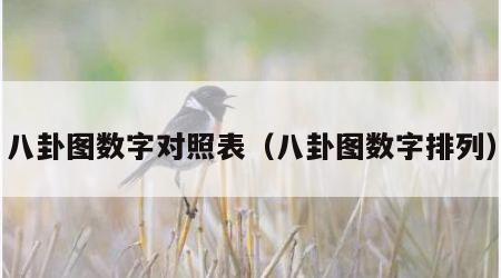 八卦图数字对照表（八卦图数字排列）