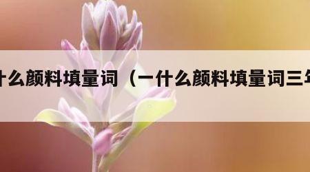 一什么颜料填量词（一什么颜料填量词三年级）