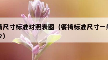 餐椅尺寸标准对照表图（餐椅标准尺寸一般是多少）