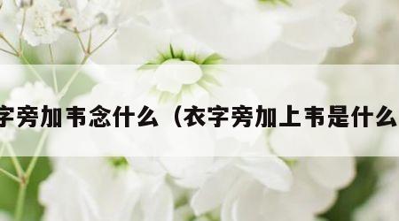 衣字旁加韦念什么（衣字旁加上韦是什么字）
