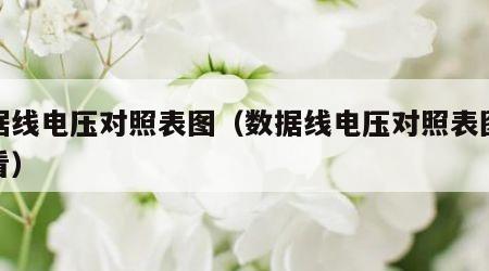数据线电压对照表图（数据线电压对照表图怎么看）