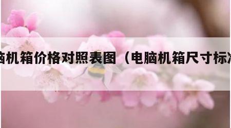 电脑机箱价格对照表图（电脑机箱尺寸标准图片）