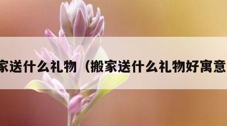 搬家送什么礼物（搬家送什么礼物好寓意好）