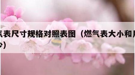 燃气表尺寸规格对照表图（燃气表大小和用气多少）
