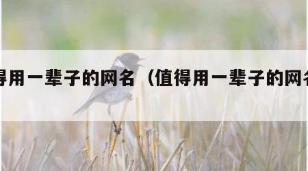 值得用一辈子的网名（值得用一辈子的网名伤感）