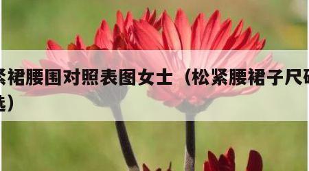 松紧裙腰围对照表图女士（松紧腰裙子尺码怎么选）