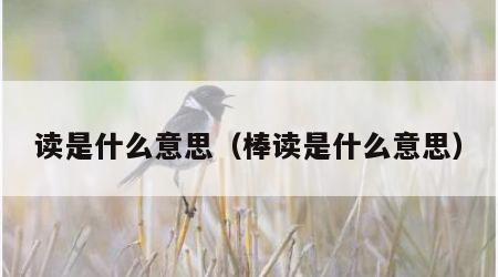 读是什么意思（棒读是什么意思）