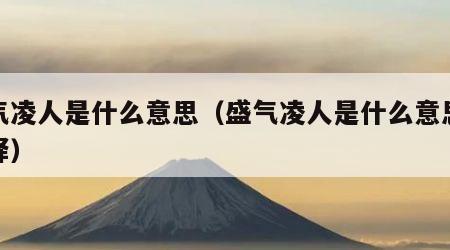盛气凌人是什么意思（盛气凌人是什么意思啊解释）