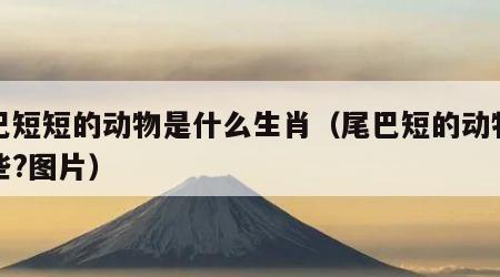 尾巴短短的动物是什么生肖（尾巴短的动物有哪些?图片）
