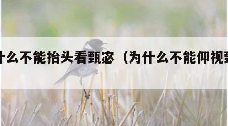 为什么不能抬头看甄宓（为什么不能仰视甄宓）