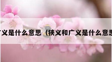 广义是什么意思（狭义和广义是什么意思）