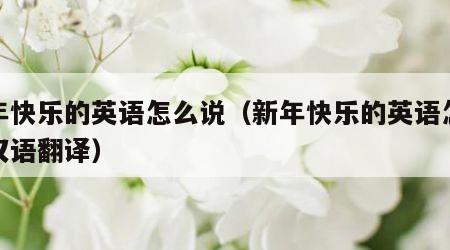 新年快乐的英语怎么说（新年快乐的英语怎么说汉语翻译）