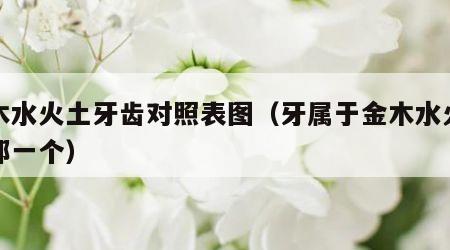 金木水火土牙齿对照表图（牙属于金木水火土里那一个）